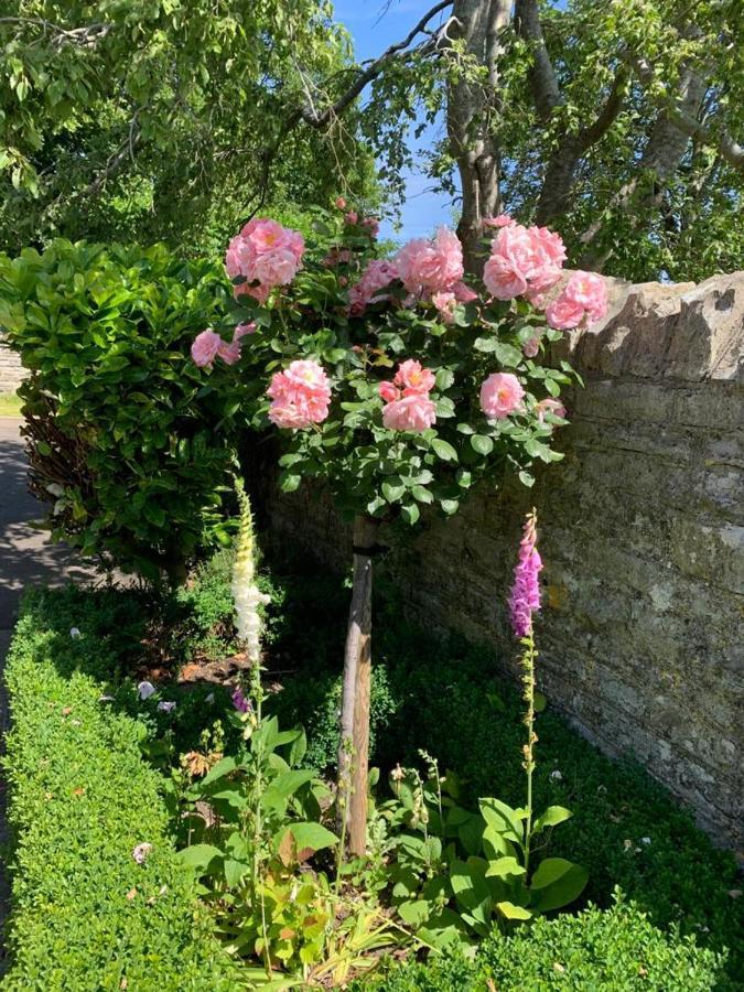 Parsnips House Bnb Glastonbury Zewnętrze zdjęcie